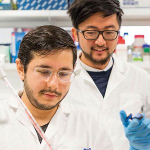 Cellular researchers