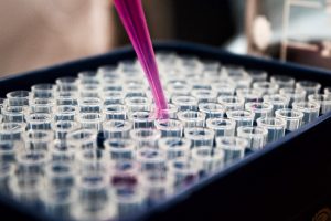 Test tubes in lab