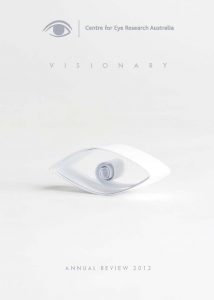 Visionary: Annual Review 2012