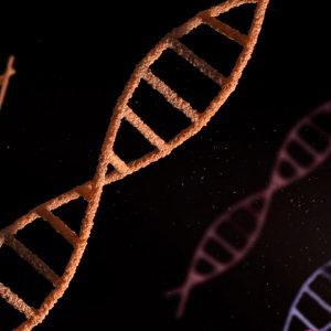 DNA strand