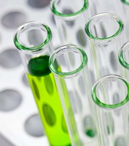 Test tubes in lab