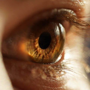 Close-up photograph of a brown eye