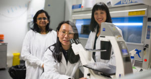 Photograph of Dr Manisha Shah (left), Dr Elsa Chan (centre), and Dr Jennifer Fan Gaskin, wearing lab coats, face to camera in a CERA lab. Dr Chan is in the foreground, in the centre, facing a microscope located to the right hand-side of the frame. Dr Shah and Dr Fan Gaskin are in the background on each side of Dr Chan.
