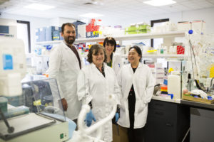 Members of CERA's Clinical Genetics team standing in a laboratory wearing lab coats. They are surrounded by shelves of lab equipment. They are from left Professor Alex Hewitt, Linda Clarke, Lisa Kearns and Dr Helena Liang.