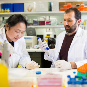 Two scientists working at a bench, injecting liquid into test tubes