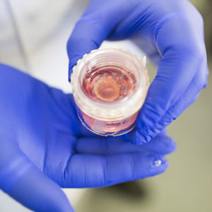 Close-up image of hands holding a sample vial.