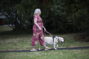 A woman walking through a park with her seeing eye dog