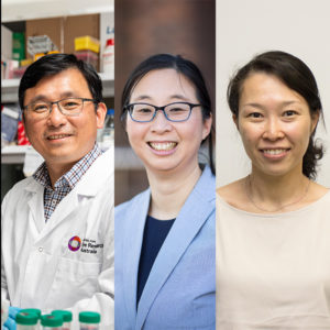 A composite image of three researchers: Rick Liu, Elaine Chone and Sandy Hung