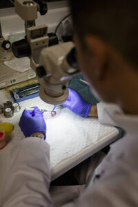 Image of a researcher working with corneal tissue