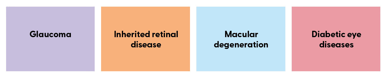 Four coloured boxes with the words Glaucoma, Inherited retinal disease, Macular degeneration and Diabetic eye disease.