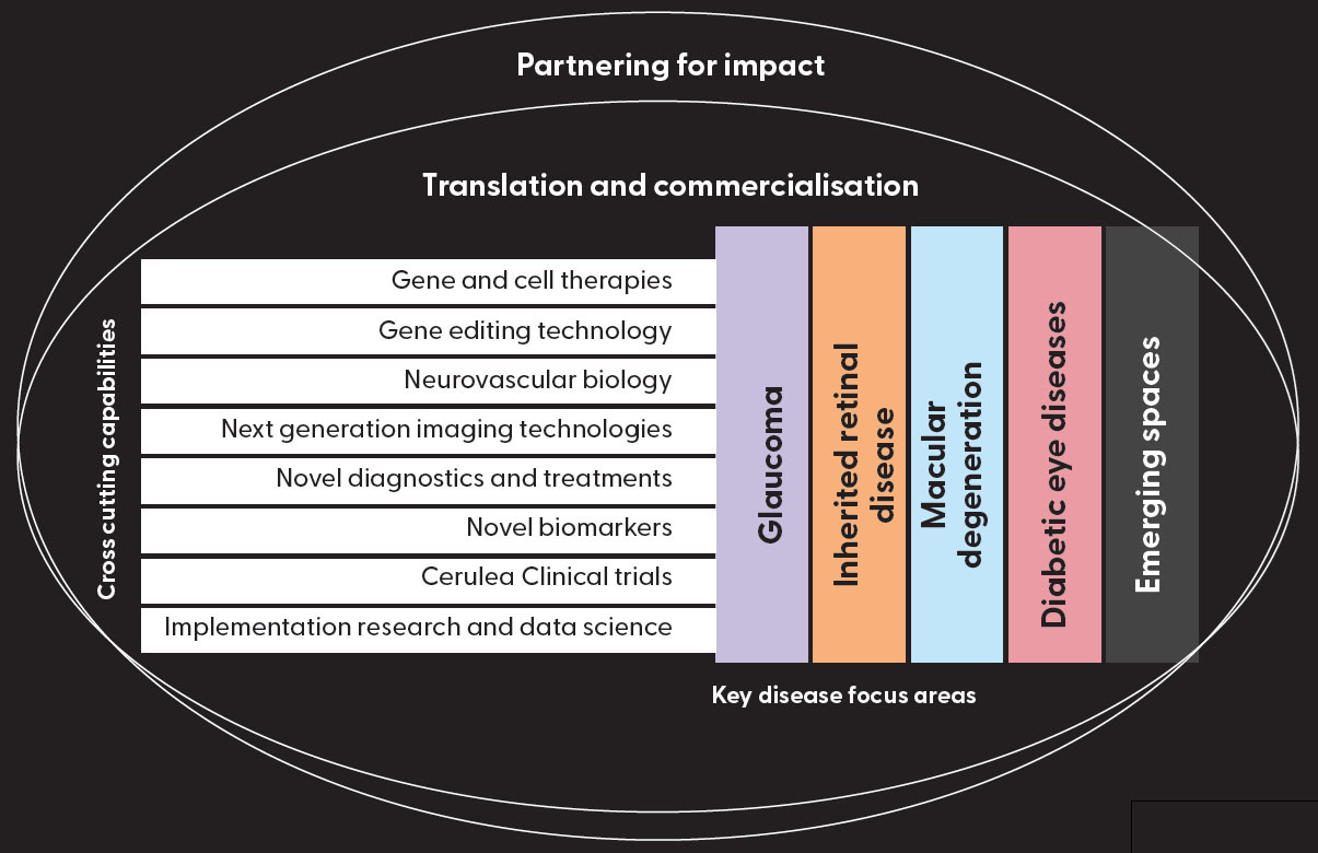 This diagram consists of text boxes arranged in rows overlaid with text boxes arranged in columns surrounding both are two shaded circles. The outer circle encompasses the entire diagram and is labelled Partnering for impact. The inner is labelled, translation and commercialization. The shaded rows are labelled cross cutting capabilities. They read from top to bottom, Gene and cell therapies, gene editing technology, neurovascular biology, next generation imaging technologies, novel diagnostics and treatments, novel biomarkers. Cerulean clinical trials, implementation, research and data science. The columns are labelled key disease focus areas they read from left to right, glaucoma, inherited eye diseases, macular degeneration, diabetic eye diseases, emerging spaces. The columns completely overlap the rows suggesting a link between all the capabilities and focus areas.